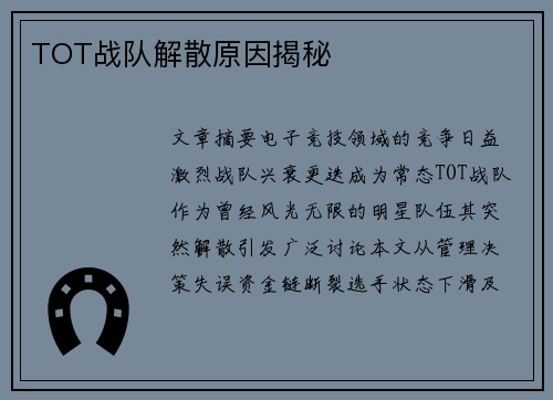 TOT战队解散原因揭秘