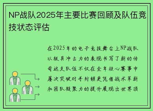 NP战队2025年主要比赛回顾及队伍竞技状态评估